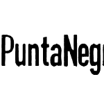 PuntaNegra