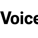 Voice