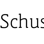 Schuss Slab Pro