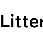 Littera Text Medium