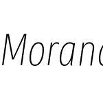 MorandiW01-CondensedThinIt