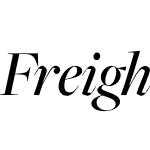 FreightBig Pro Medium