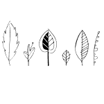 Leaf Doodles