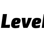 Level