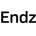 Endzone Sans Medium