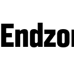 Endzone Sans Cond Bold