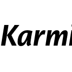 Karmina Sans Rg