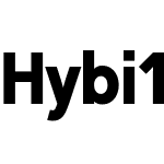 Hybi11 Amigo