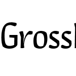 Gross Kunst Rg