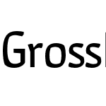 Gross Kunst Dl