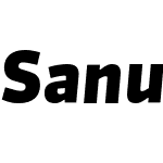 SanukPro-BlackItalic