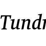 TundraPro-MediumItalic