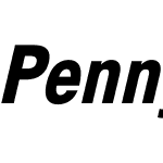 PennyLaneW01-BoldItalic