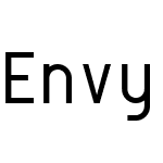 Envy Code R VS
