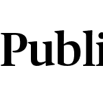 Publico-Medium