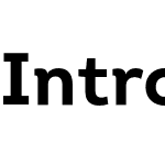 Intro Bold