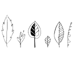 Leaf Doodles