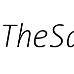 The Sans Mono Condensed- Extra