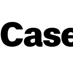 Case