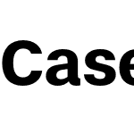 Case Text