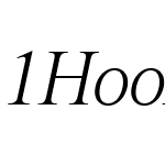 1HoonRoman Light italic