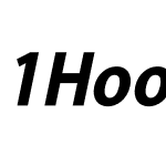 1HoonTop Bold italic