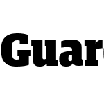 Guardian Compact Web Black