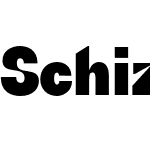 Schizotype Grotesk