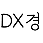 DX경필명조 Std Bold