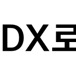 DX로고 Std Bold