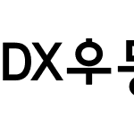 DX우등생 Std Bold