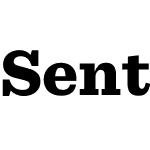 Sentinel Pro