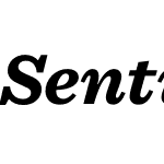 Sentinel Pro