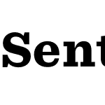 Sentinel ScreenSmart Pro