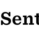 Sentinel ScreenSmart Pro