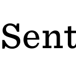 Sentinel ScreenSmart Pro