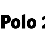 Polo 22