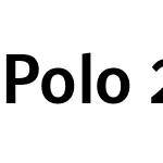 Polo 22