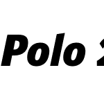 Polo 22