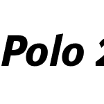 Polo 22