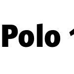 Polo 11