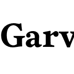 Garvis Pro