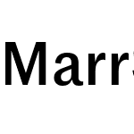 Marr Sans