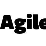 Agile Fat