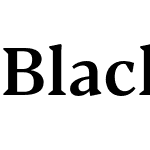 Blacker Pro Text