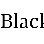 Blacker Pro Text