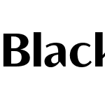 Blacker Sans Text