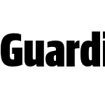 Guardian Sans XCond