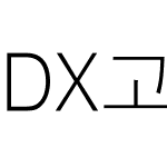 DX고딕 10