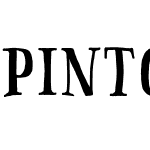Pinto NO_03